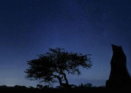 travesiaunam_Impulsa la UNAM cielo oscuro en Hidalgo